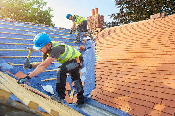 Best Metal Roofing Installation  in Prairie Grove, AR